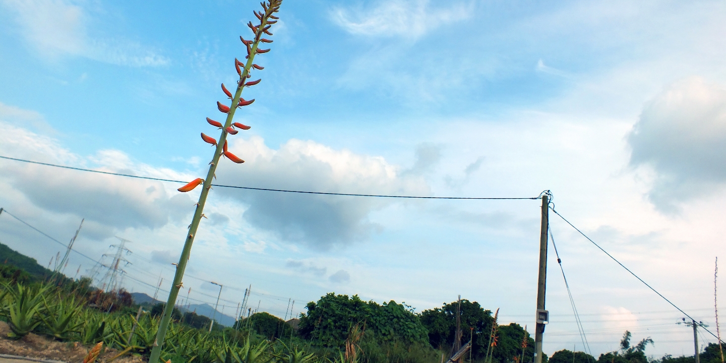 為您的健康著想